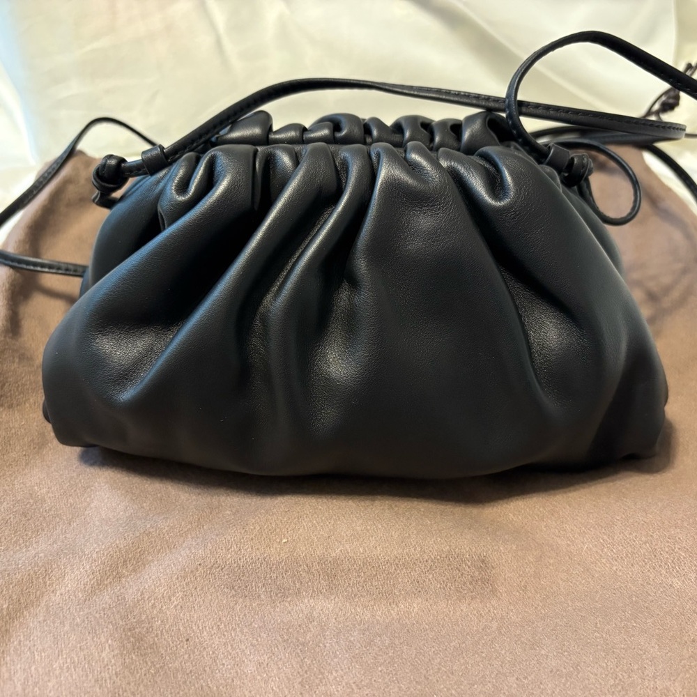 Bottega The Pouch Leather Mini